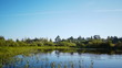 Waves on the water surface of small pond in the early morning
