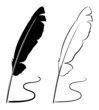Vector: feathers feathers