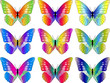 Butterfly Collection
