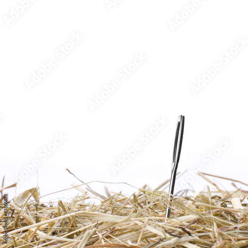 Photo: Nadel im Heuhaufen Nadel im Heuhaufen