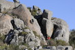 Foto: Tandil 15 Tandil 15