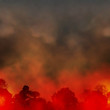 Forest fire