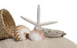 seashells, starfish and sand on white background