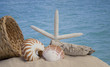 seashells and sand with ocean background