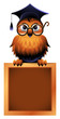 Wise Owl Atop A Chalkboard