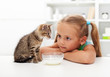 Me and my cat - little girl and her kitten