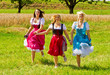 Spaß auf der Wiese
