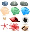 Conchiglie Molluschi Ciotoli Mare-Marine Life Elements Icons