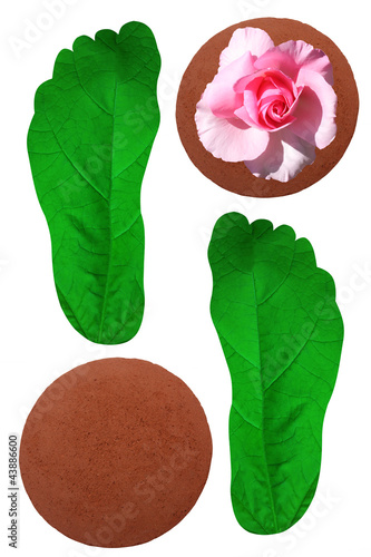 Photo: Soins des pieds - Gommage Soins des pieds - Gommage