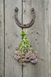 wild marjoram and horseshoe on old wall
