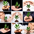 Environmental protection
