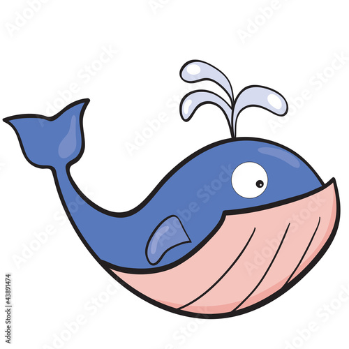 Vector: Whale Whale