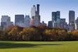 Central Park in New York City, USA.