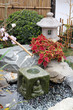 Japanese garden