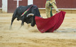 Torero citando al toro con estilo.