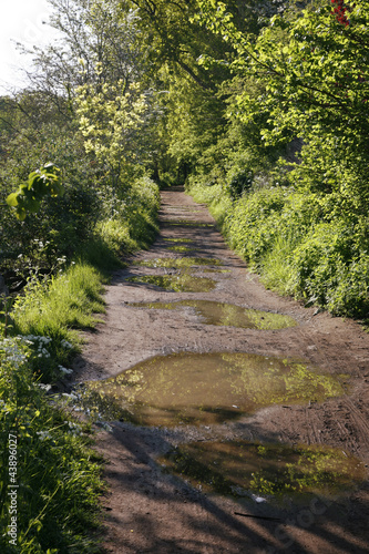 Photo: Footpath with big puddles Footpath with big puddles