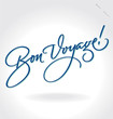 'Bon Voyage' hand lettering (vector)