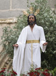 Photo: Imagen de Jusucristo entre los olivos. Imagen de Jusucristo entre los olivos.