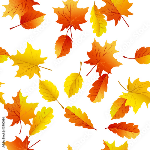 Vector: autumn seamless autumn seamless