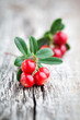 Photo: Lingonberries Lingonberries