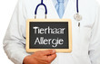 Tierhaar Allergie