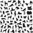 large collection of different silhouettes of dogs