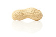 Fresh Dry Organic Peanuts