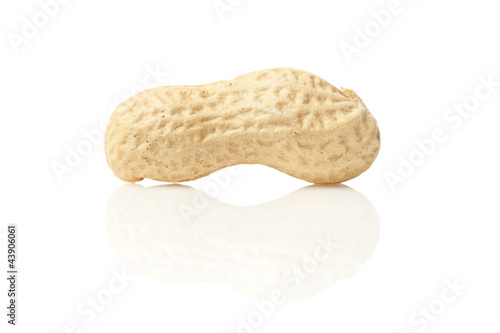 Photo: Fresh Dry Organic Peanuts Fresh Dry Organic Peanuts