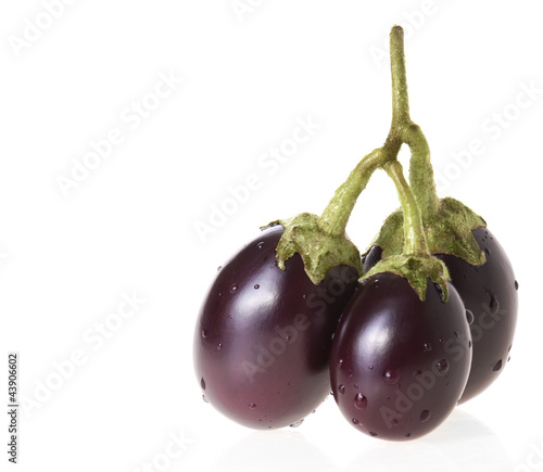 Photo: Small asian eggplants on a twig Small asian eggplants on a twig