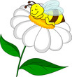 Vector: Bee sleeping on flower Bee sleeping on flower