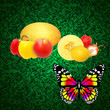 Fruit vegetables and butterflies