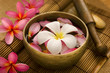 Tropical spa retreat