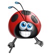 coccinella dito