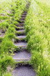 Steps in the grass