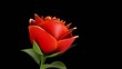 Video: Rosa 3D Rosa 3D