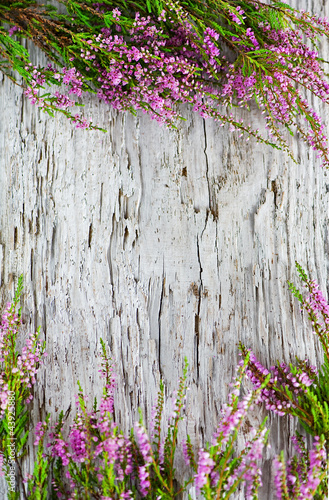 Photo: Heather on the old wood Heather on the old wood