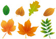 foliage