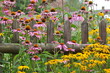 Bauerngarten