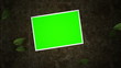 Green Screen Photos On Ground