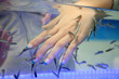fish spa