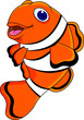clown fish cartoon