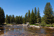 Yosemite national park in California