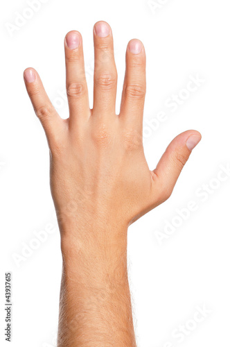 Photo: Man hand Man hand