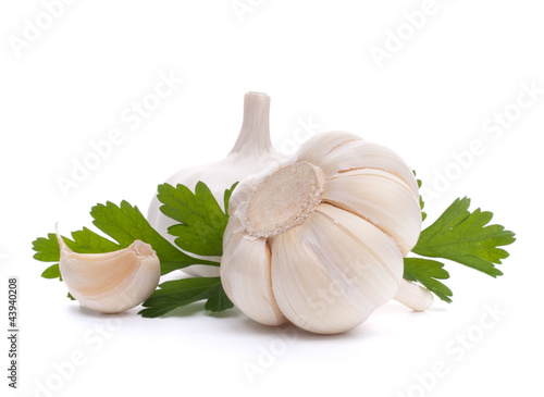 Foto : garlic bulb garlic bulb
