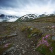 Foto: Rocky surface in norway mountains Rocky surface in norway mountains