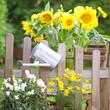 Photo: ländlicher Garten2 ländlicher Garten2