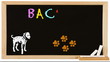 Back to school - Hundeschule