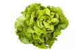 Kopfsalat