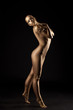 Young Naked Woman With Perfect...