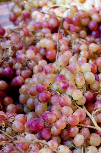 Photo: GreekGrapes GreekGrapes